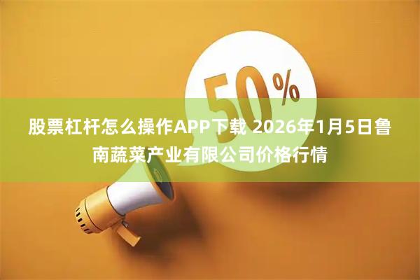 股票杠杆怎么操作APP下载 2026年1月5日鲁南蔬菜产业有限公司价格行情